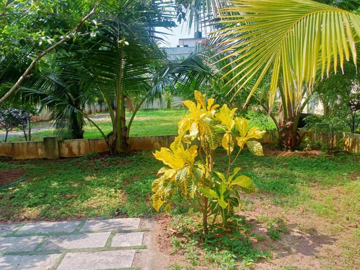 Sinai Homestay Alappuzha Esterno foto